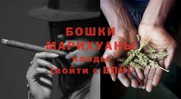 гидра Бородино