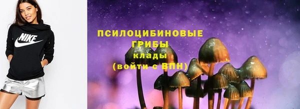 гидра Бородино