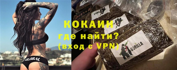 гидра Бородино