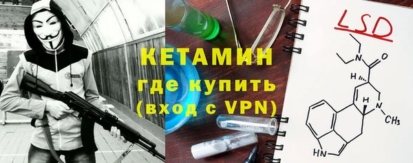 гидра Бородино