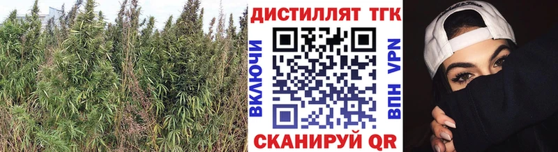 Дистиллят ТГК THC oil  Кизилюрт 