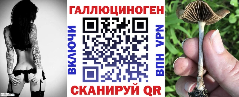 Псилоцибиновые грибы Psilocybine cubensis  блэк спрут онион  Кизилюрт 